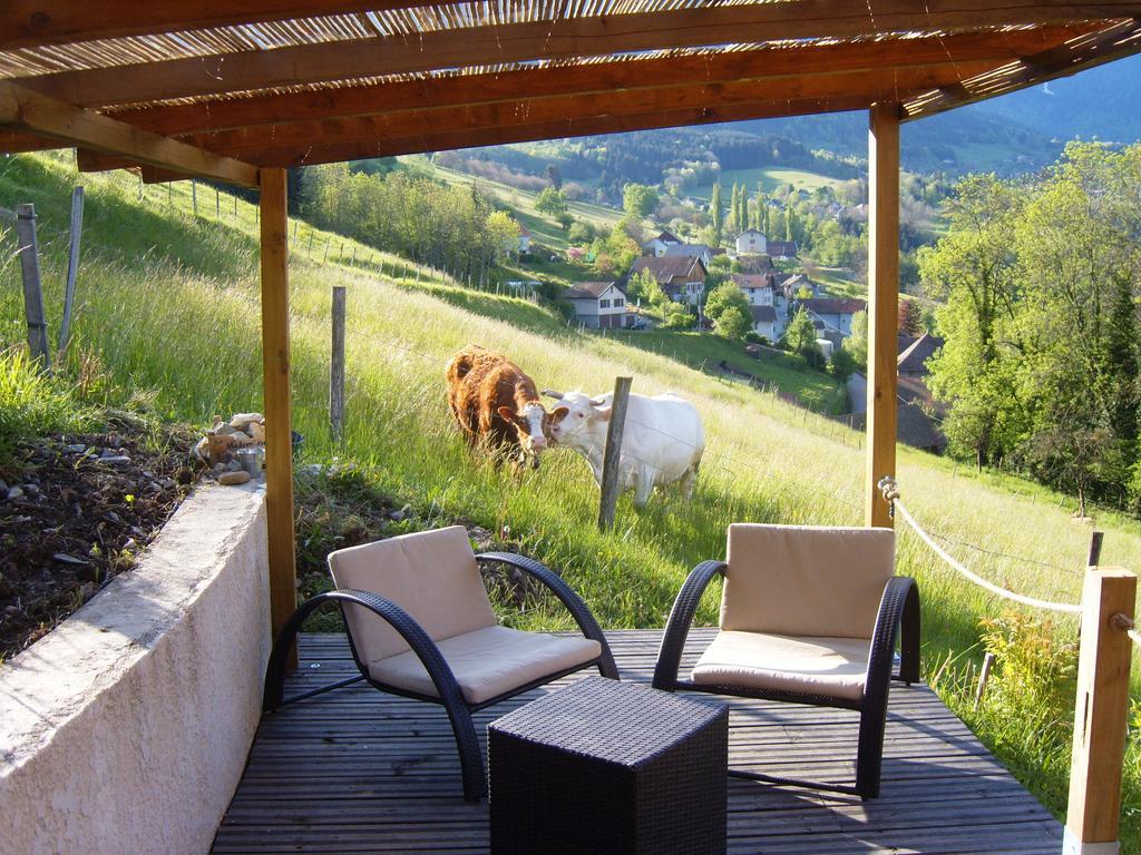 Gite Au Coeur Du Chalet En Belledonne Vers Prapoutel Les 7 Laux Sainte-Agnès Pokój zdjęcie